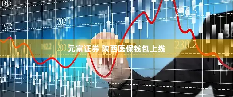 元富证券 陕西医保钱包上线
